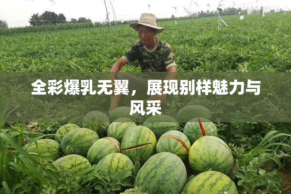 全彩爆乳无翼，展现别样魅力与风采