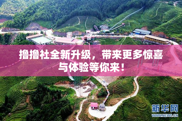 撸撸社全新升级，带来更多惊喜与体验等你来！