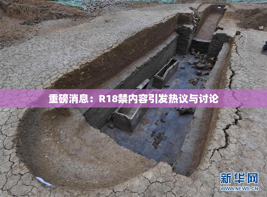 重磅消息：R18禁内容引发热议与讨论