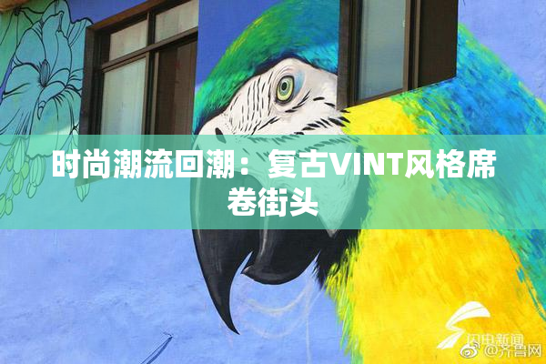 时尚潮流回潮：复古VINT风格席卷街头