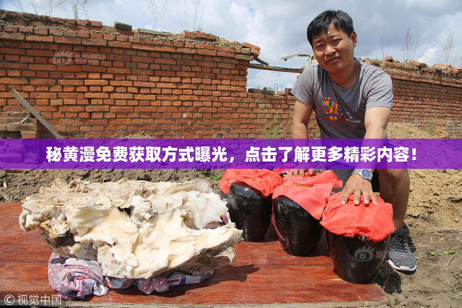 秘黄漫免费获取方式曝光，点击了解更多精彩内容！