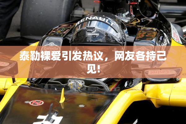 泰勒裸爱引发热议，网友各持己见!