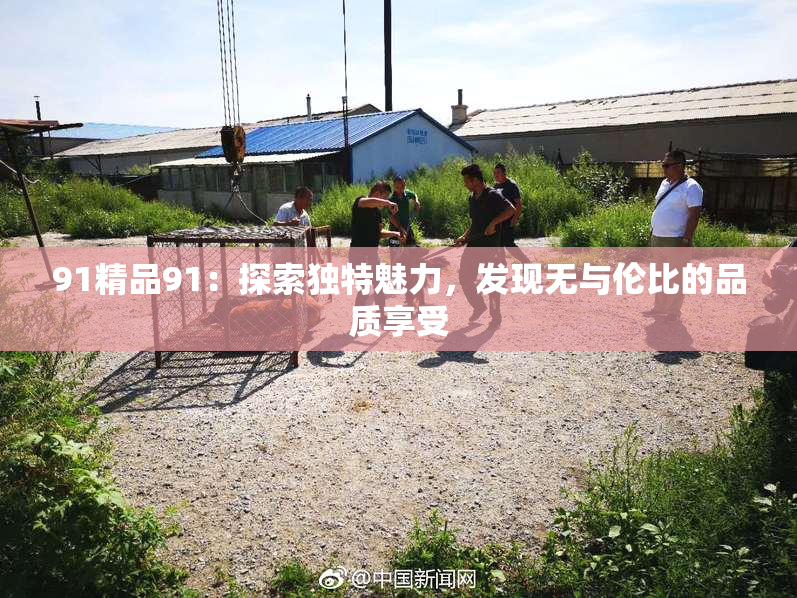 91精品91：探索独特魅力，发现无与伦比的品质享受