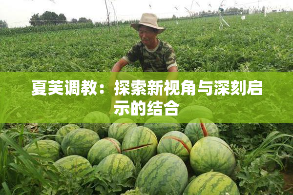 夏芙调教：探索新视角与深刻启示的结合