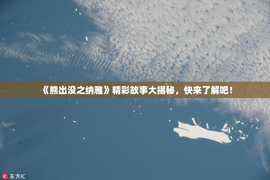 《熊出没之纳雅》精彩故事大揭秘，快来了解吧！