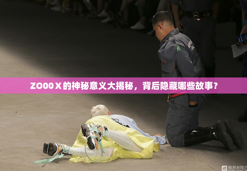 ZO00Ⅹ的神秘意义大揭秘，背后隐藏哪些故事？