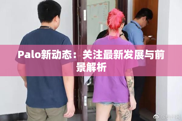 Palo新动态：关注最新发展与前景解析