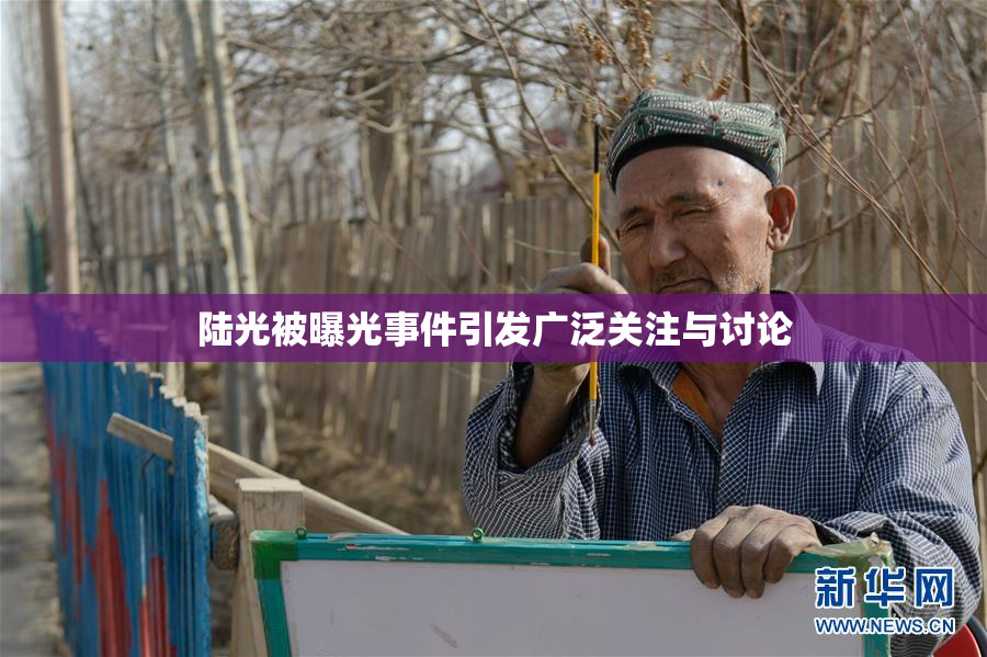 陆光被曝光事件引发广泛关注与讨论