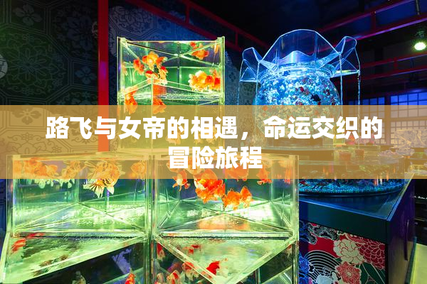 路飞与女帝的相遇，命运交织的冒险旅程
