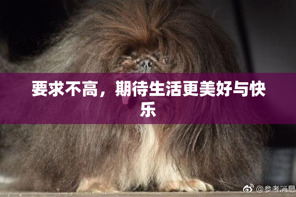 要求不高，期待生活更美好与快乐