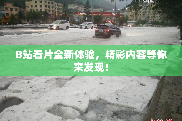 B站看片全新体验，精彩内容等你来发现！