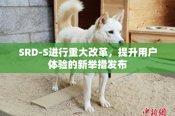 SRD-S进行重大改革，提升用户体验的新举措发布