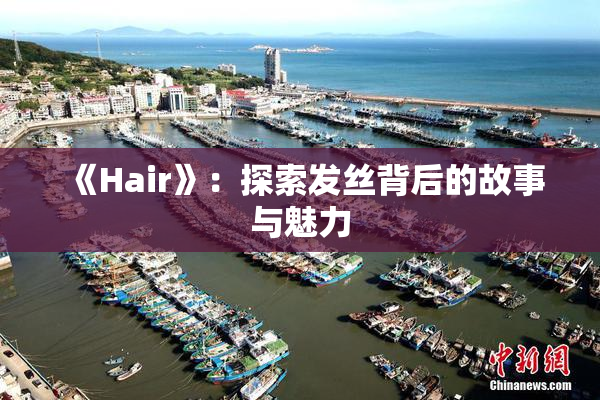 《Hair》：探索发丝背后的故事与魅力