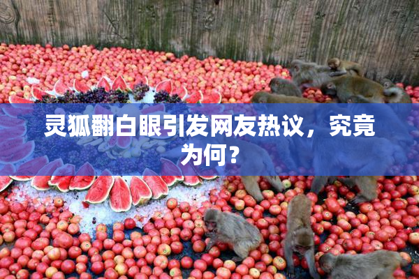 灵狐翻白眼引发网友热议，究竟为何？