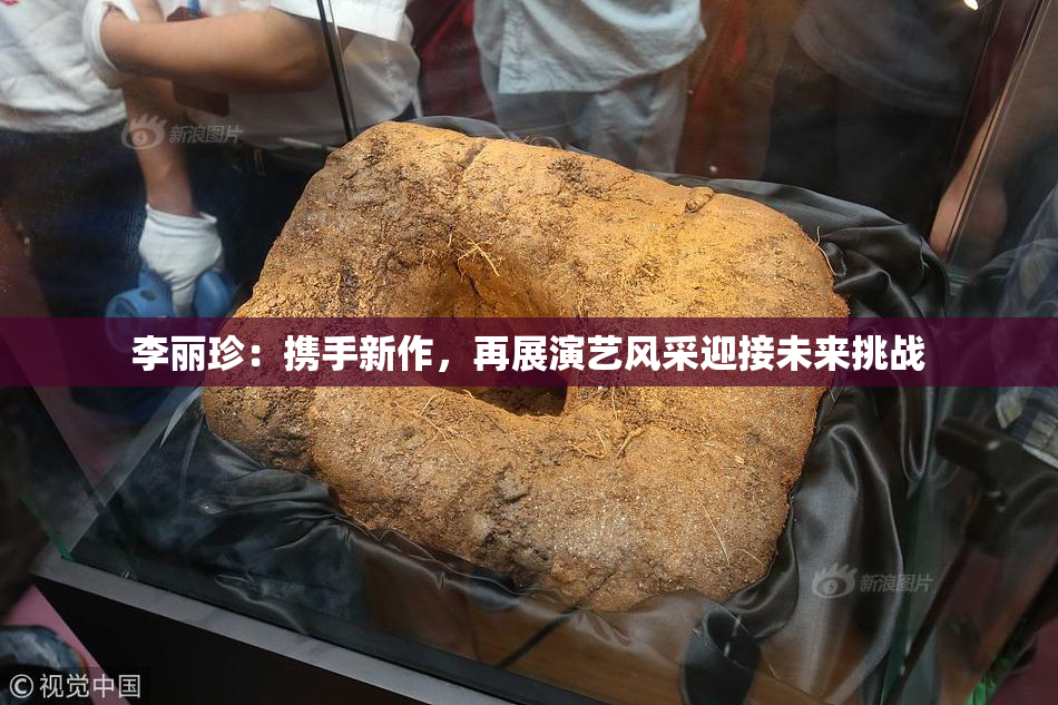 李丽珍：携手新作，再展演艺风采迎接未来挑战