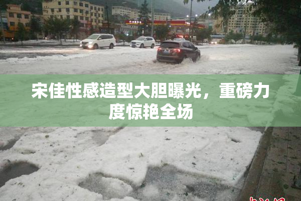 宋佳性感造型大胆曝光，重磅力度惊艳全场
