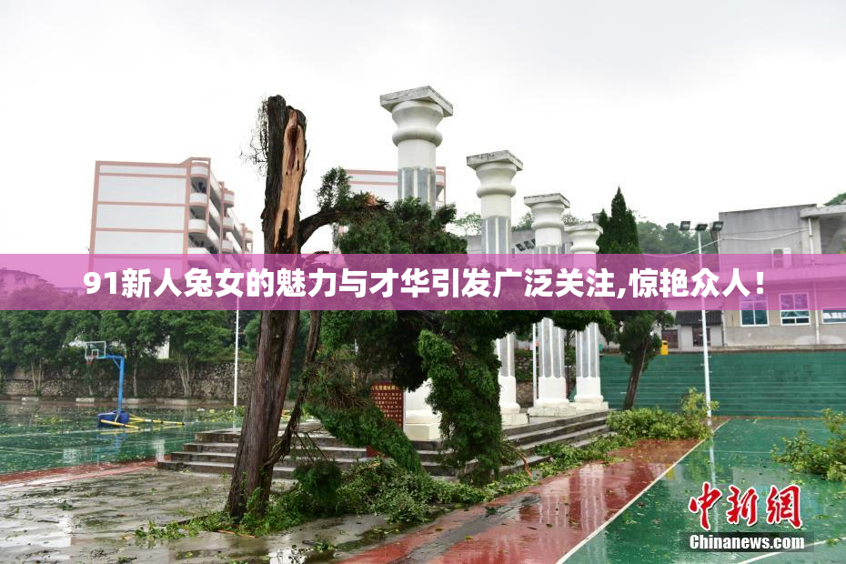 91新人兔女的魅力与才华引发广泛关注,惊艳众人！