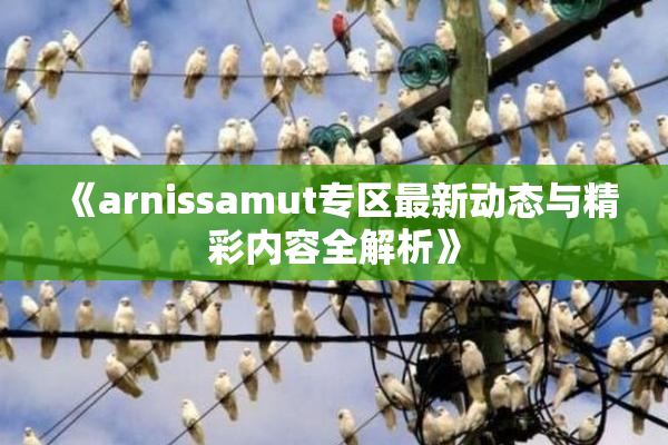 《arnissamut专区最新动态与精彩内容全解析》