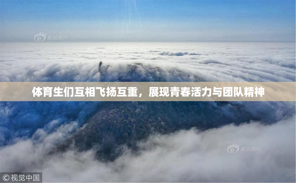 体育生们互相飞扬互重，展现青春活力与团队精神