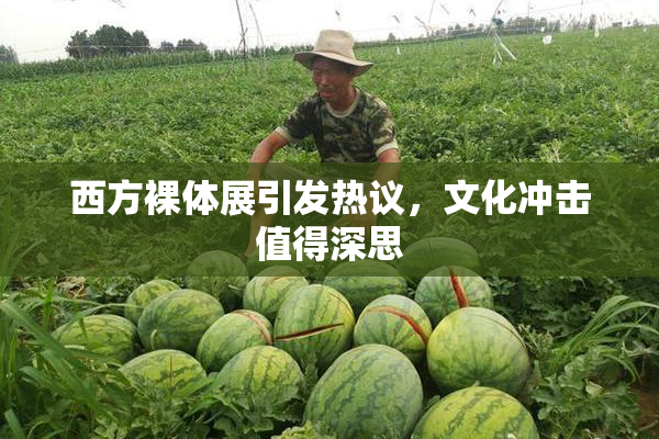 西方裸体展引发热议，文化冲击值得深思