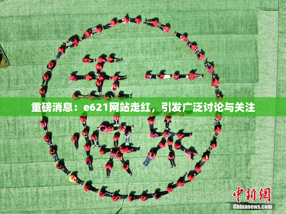 重磅消息：e621网站走红，引发广泛讨论与关注