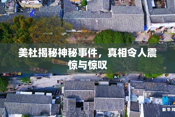 美杜揭秘神秘事件，真相令人震惊与惊叹