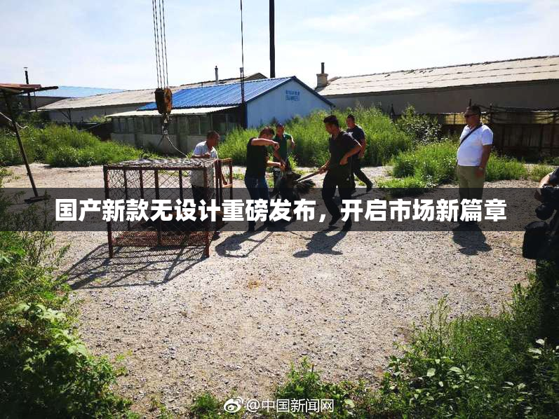 国产新款无设计重磅发布，开启市场新篇章