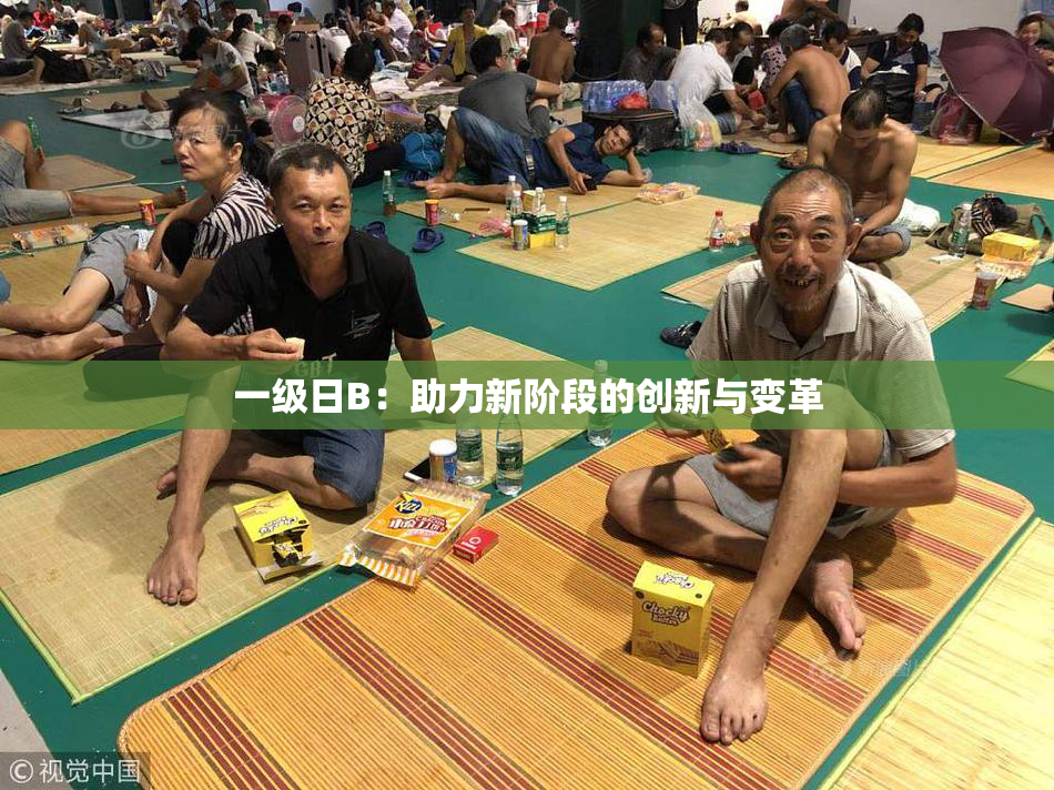一级日B：助力新阶段的创新与变革