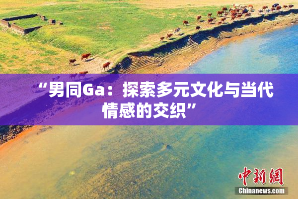 “男同Ga：探索多元文化与当代情感的交织”