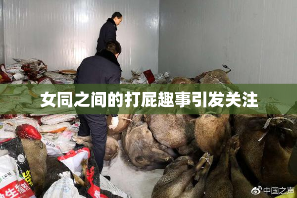女同之间的打屁趣事引发关注