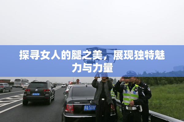 探寻女人的腿之美，展现独特魅力与力量