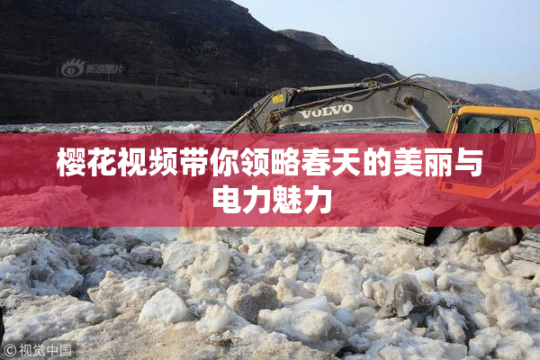 樱花视频带你领略春天的美丽与电力魅力