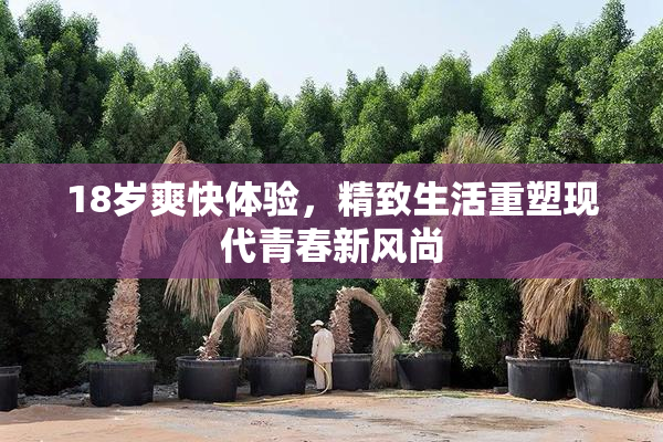 18岁爽快体验，精致生活重塑现代青春新风尚