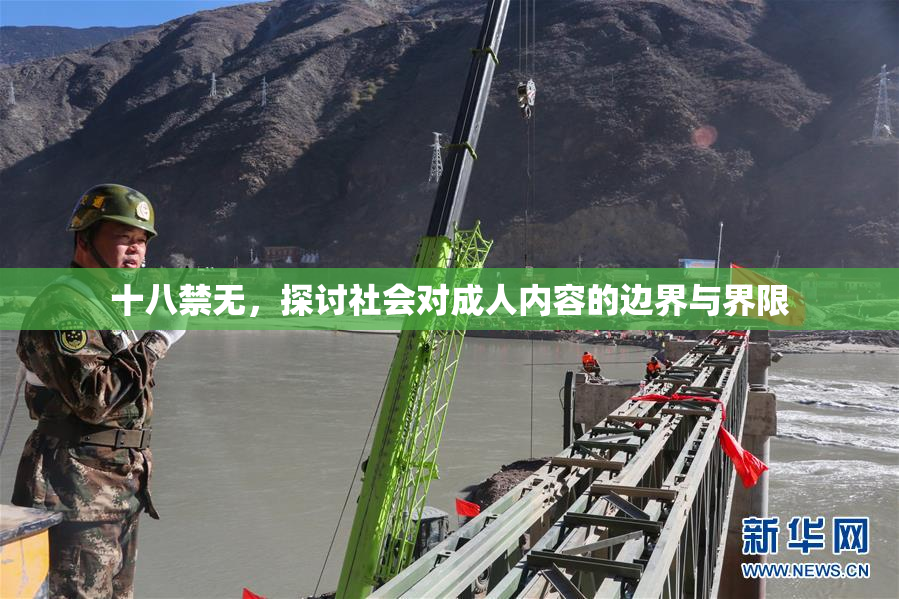 十八禁无，探讨社会对成人内容的边界与界限