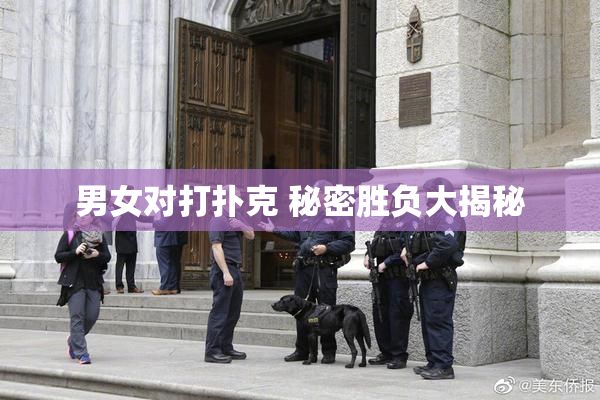 男女对打扑克 秘密胜负大揭秘