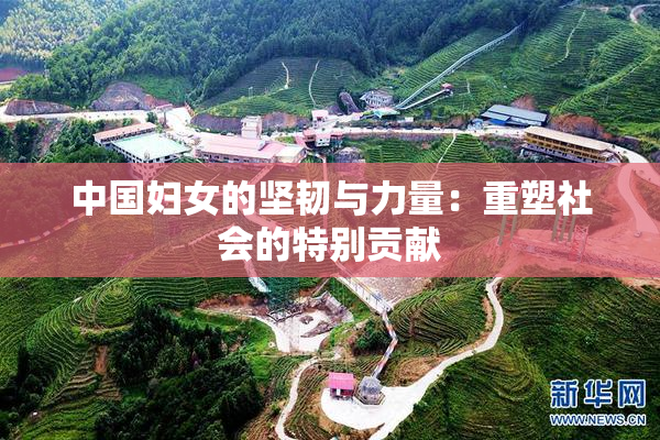 中国妇女的坚韧与力量：重塑社会的特别贡献