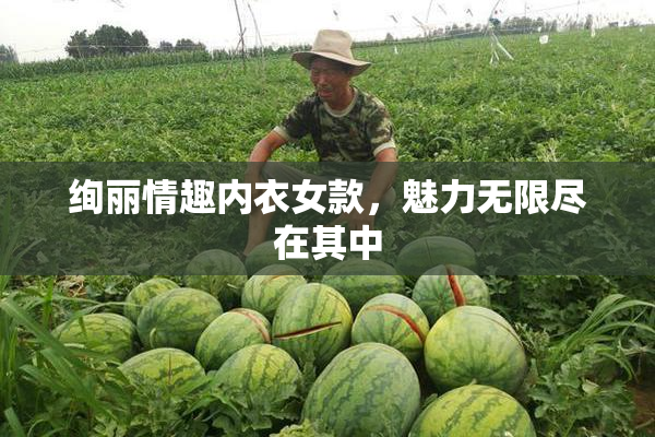 绚丽情趣内衣女款，魅力无限尽在其中