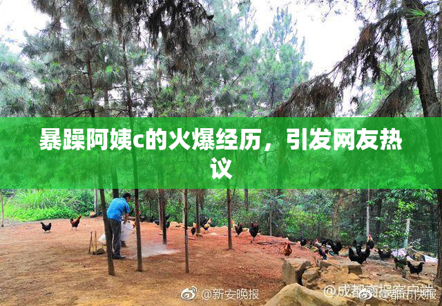 暴躁阿姨c的火爆经历，引发网友热议
