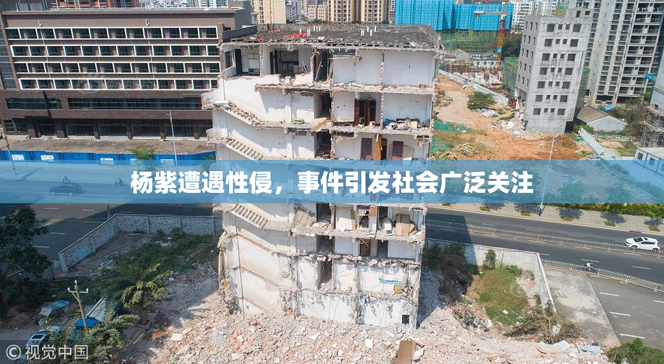 杨紫遭遇性侵，事件引发社会广泛关注