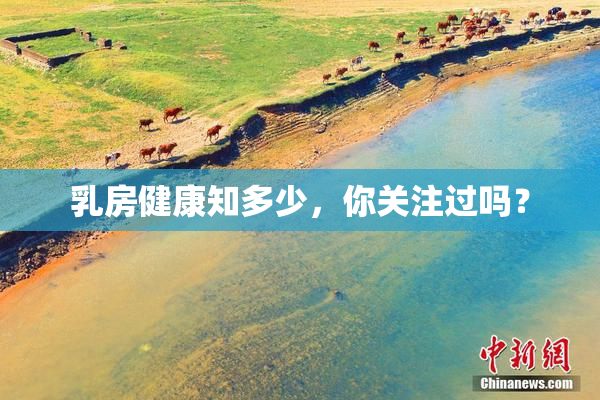 乳房健康知多少，你关注过吗？