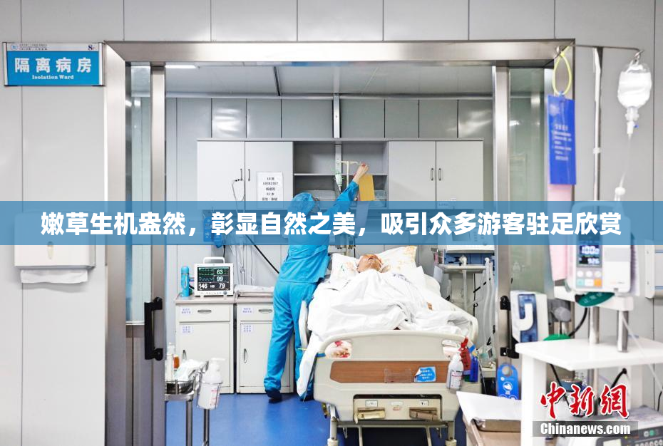 嫩草生机盎然，彰显自然之美，吸引众多游客驻足欣赏