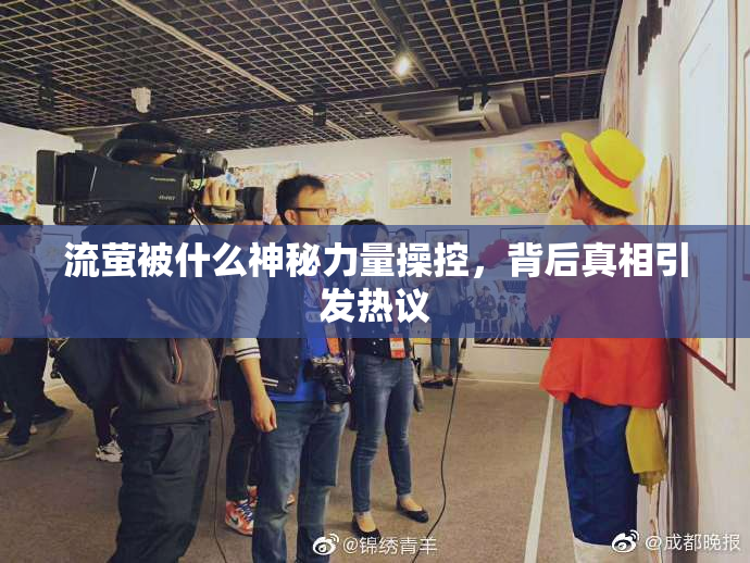 流萤被什么神秘力量操控，背后真相引发热议