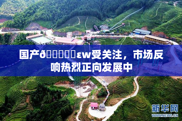 国产🔞❌‌εw受关注，市场反响热烈正向发展中