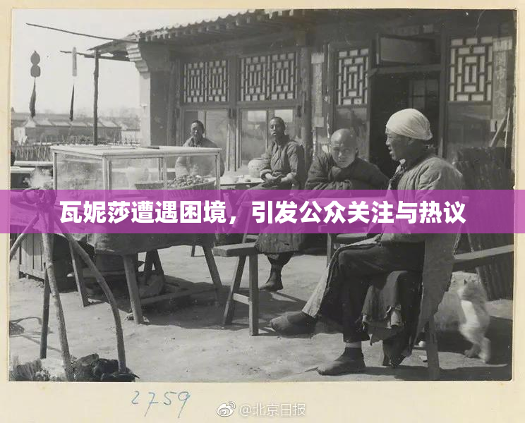 瓦妮莎遭遇困境，引发公众关注与热议