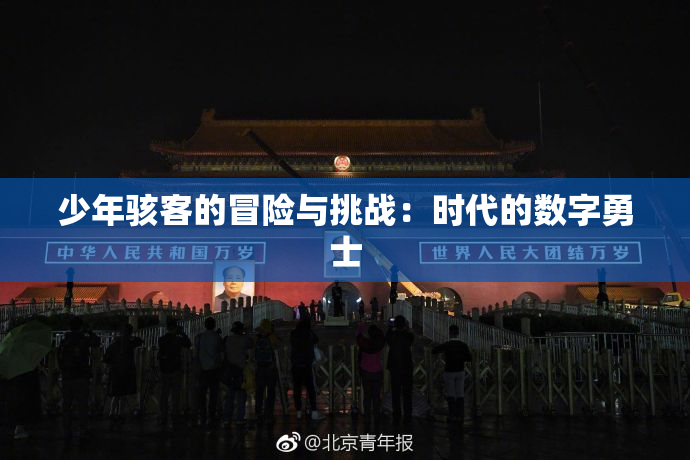 少年骇客的冒险与挑战：时代的数字勇士