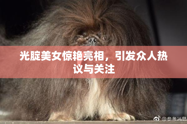 光腚美女惊艳亮相，引发众人热议与关注