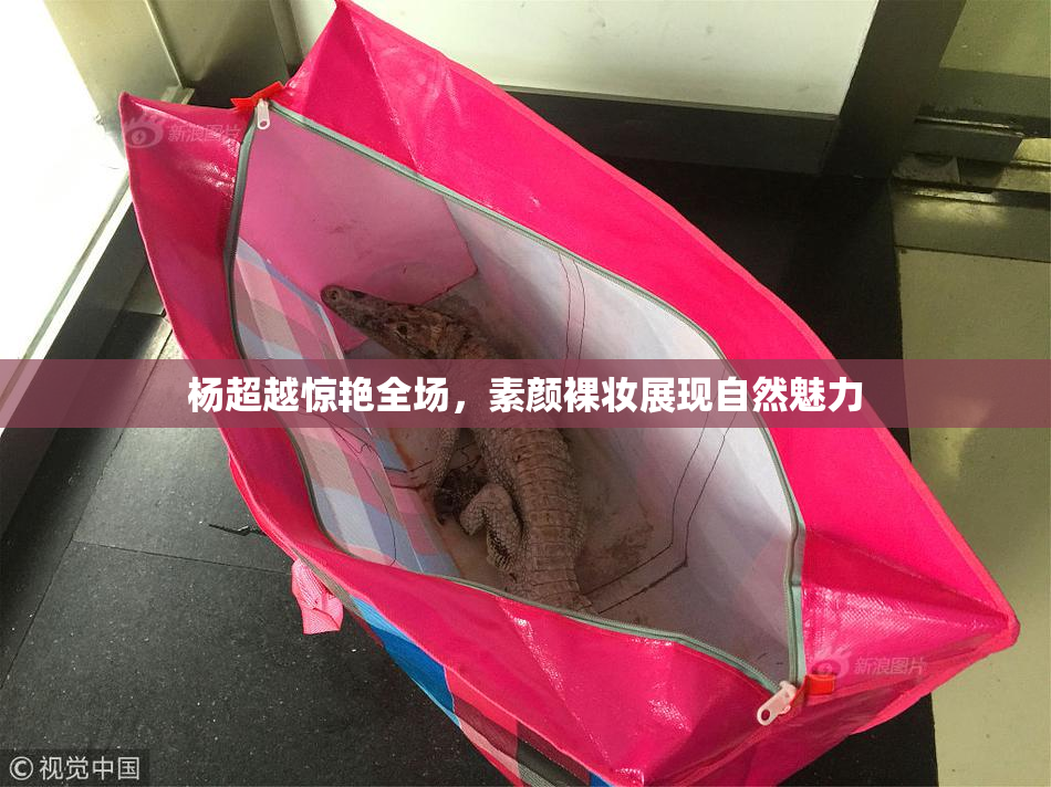 杨超越惊艳全场，素颜裸妆展现自然魅力