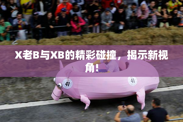 X老B与XB的精彩碰撞，揭示新视角!