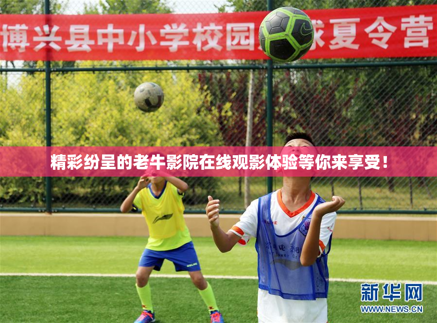 精彩纷呈的老牛影院在线观影体验等你来享受！