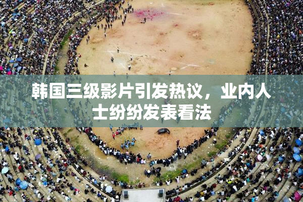 韩国三级影片引发热议，业内人士纷纷发表看法